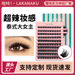 Lakanaku Individual False Eyelashes Thick <b>D</b> Curl Imported Fibers Cross-border Segmentation - Product Image 4