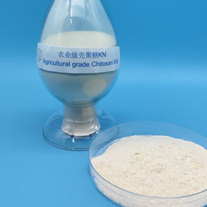 Engrais biologique direct d'usine CAS 9012 Chitosan KN pour l'agriculture - Product Image 4