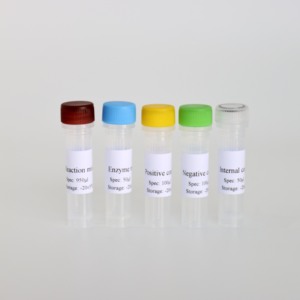 Kit de PCR en Tiempo Real de Triple Fluorescencia Preciso y Eficiente para la Diarrea Epidémica Porcina, la Gastroenteritis Transmisible y el Coronavirus Delta - Product Image 5