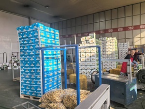 中国新鲜生姜供应商提供优质新作物生姜和风干生姜 - Product Image 5