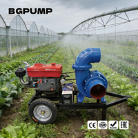 Pompe à eau diesel avec moteur diesel pour l'irrigation agricole et la pompe à eau