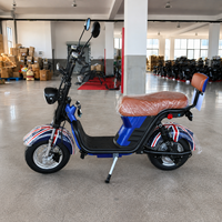 Scooter électrique Citycoco 1000W pour adultes, moto électrique à pneus larges, réseau de concessionnaires