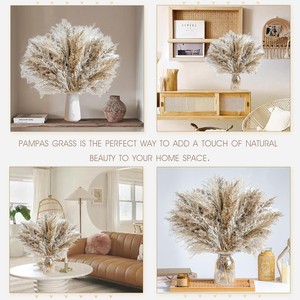 Bouquet de fleurs séchées d'herbe de la pampa - Petite herbe de la pampa et herbe de queue de lapin pour décoration de mariage, de remise de diplôme et de la maison - Product Image 3
