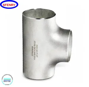 Sfenry Rvs A403 WP316 Ss Gelijke Asme B16.9 Tee