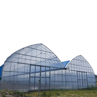 Serre agricole multi-travées de 8m de large | Membrane PE L'encapsulation complète permet l'accélération de la croissance des plantes