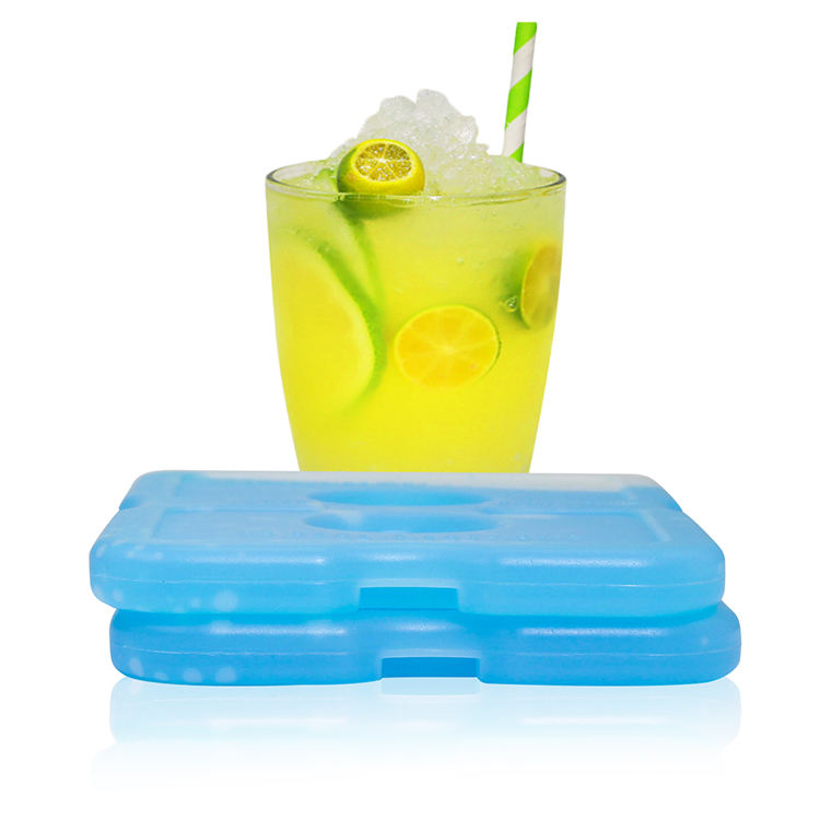 Portable Mini Ice Cooler Box Reusable Freezer Cold Pack Ice Brick ...