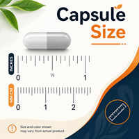 Capsules de Palmier Nain à Marque Blanche pour la Santé Masculine, Soutien de la Prostate, Croissance Capillaire, Bien-être Urinaire, Complément Herbal, Fourniture OEM