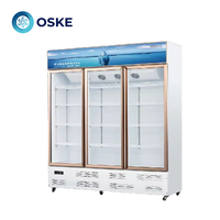 Speciale drankenkast voor supermarkten, grote capaciteit, glazen deur, gekoelde vitrine