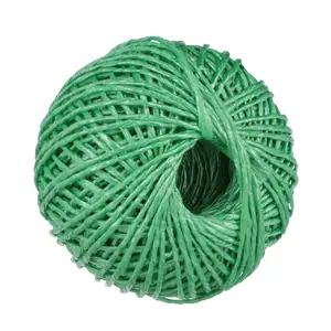 80gr Ball 2 Ply Twisted Polypropylene Plastic Tying Twine for Packaging Ropes