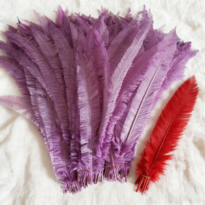 Plumas de avestruz <span class=keywords><strong>Nandu</strong></span> color ciruela de 25-60 cm para decoración de jarrones, manualidades DIY, sombrerería, fascinadores florales y accesorios para el cabello, ideales para fiestas, hogar y bodas. - Product Image 1
