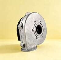 Chaudière de chauffage au gaz mixte 8 pouces 230V/120V 120W/300W à sortie latérale pour chaudières murales et applications de transformation alimentaire