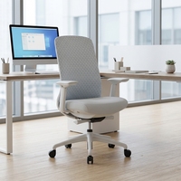 Chaise de bureau ergonomique professionnelle robuste avec fonction de levage, mobilier de bureau, chaise d'ordinateur, chaise de bureau