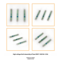 Fusibles de Cobre XRNT1 Marca Lingc 12V 6A-10A, Protección de Transformador Certificada, Limitación de Corriente, Alto Rendimiento, Prefabricados