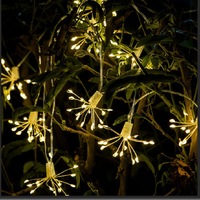 Guirlandes lumineuses LED télécommandées en forme de pissenlit, feux d'artifice, étoiles éclatantes, rideau de lumières féériques en fil de cuivre pour la décoration des fêtes