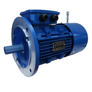 Motor Asíncrono Trifásico de 5.5kw 7.5hp 10hp 15hp con Frenado, Totalmente Cerrado, 50Hz/60Hz - Product Image 4