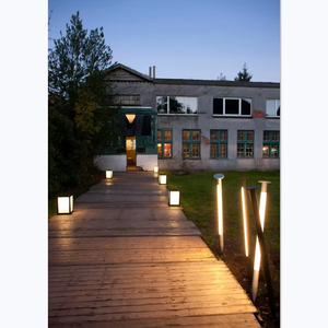 Luces LED de Navidad para Exteriores de Alta Calidad, Diseño Senzhao, Mini Lámpara para Jardín, Iluminación Decorativa - Product Image 1