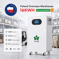 Batterie LiFePO4 16 kWh 51,2 V 314 Ah Garantie 10 ans Haute Capacité Stock Local UE Alimentation Solaire de Secours pour Grandes Familles