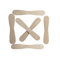 Bâtonnets de crème glacée en bois écologiques, flexibles, faits maison et portables pour les glaces
