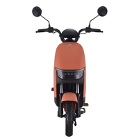 Moto électrique rétro personnalisée 1000W 60V avec fourche hydraulique avant pour livraison de repas