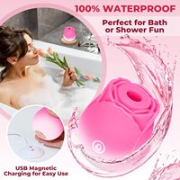 Im Dunkeln Leuchtender Rosen-Vibrator Klitoris-Sauger Nippel-Stimulator Leuchtender Rosen-Vibrator Frauen-Sexspielzeug