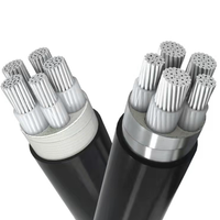 Promo Pabrik Kabel Daya Aluminium 0.6/1kV NA2XY Isolasi XLPE/PVC Selubung Aluminium Tersedia 1/2/3/4/5 Inti Mendukung OEM ODM