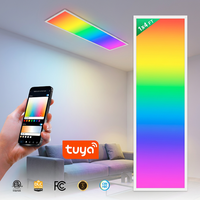 Lumière LED plate intelligente contrôlée par l'application Tuya Wifi 1*4FT 50W RGBCW Premium