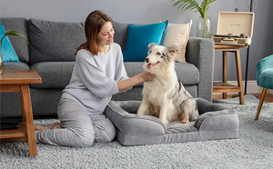 OKKPETS Orthopedic <strong>Dog</strong> <strong>Bed</strong> for Medium <strong>Dogs</strong> Supportive Foam <strong>Pet</strong> Couch <strong>Bed</strong> with Removable - Waterproof <strong>Dog</strong> Sofa <strong>Beds</strong> - Product Image 6