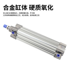 Standard CP96 <b>Cylinder</b> in Sizes CP9663x25x50x75x100x125x150x175x200 - Product Image 3