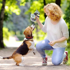 Jouets interactifs pour chiens de haute qualité en gros – Nouveaux jouets interactifs en peluche mignons, couineurs, distributeurs de nourriture, brosses à dents souples – Nouveau design - Product Image 5