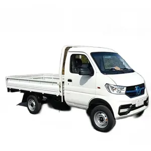 Bestseller Linkslenker LKW KAMA Small 4x2 Diesel Mini Cargo Trucks Light Cargo Truck