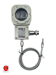Ex d IIC T6 Flameproof Digital Temperature Gauge Battery Powered Pt100 RTD IP66 Stainless Steel <strong>Probe</strong> - Product Image 6