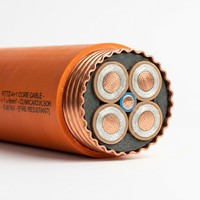 Kabel Tembaga Inti 4+1 Berisolasi Mineral Tahan Api Standar IEC 0.6/1kV untuk Daya Bangunan