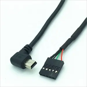 Pabrik Kustom Kabel USB 50Cm Mini USB Male Ke Dupont 2.54Mm 5Pin Female Motherboard Kabel untuk Komputer