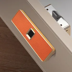 Kunci Kabinet Berkas Tersembunyi Kulit Biometrik Pintar Kunci Laci Furnitur Isi Ulang USB Elektronik