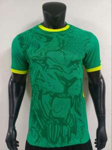 Camiseta de la Selección Nacional de Senegal para la Copa Mundial de Fútbol 2024, 100% Fibra de Poliéster, Secado Rápido, Transpirable, Impresión por Transferencia de Calor - Product Image 1