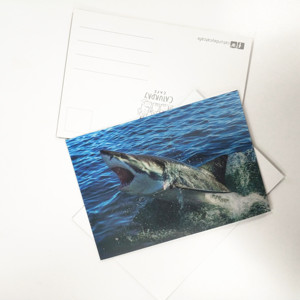Impresión de Tarjetas Postales de Papel Personalizadas de Lujo - Product Image 5