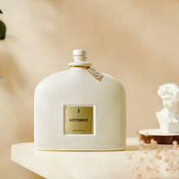 Diffuseur à bâtonnets en verre sans BPA de 100 ml, coloris Morandi, sans alcool, écologique, parfum frais longue durée, durée 4 mois, vente en gros