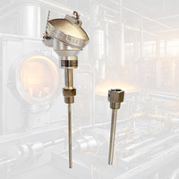 Sensor Suhu Pt100 dengan Thermowell