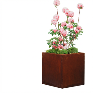 Bac à plantes rectangulaire en acier Corten, séparateur d'intimité pour balcon, bac en métal rouillé - Product Image 5