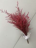 Caspia Misty Limonium Konservierte Natürliche Getrocknete Blumen Großhandel Graspflanzen Hochwertige Caspia
