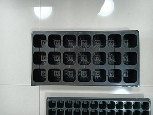 <span class=keywords><strong>Vendita</strong></span> calda in PVC vivaio vassoio piantina <span class=keywords><strong>da</strong></span> giardino seme di avviamento fioriera vassoio di propagazione per la coltivazione di semi di piante - Product Image 6