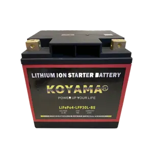 LFP30L-BS Replace LiFePO4 Batteries Lithium 12V CCA780 Motorcycle Lithium Ion Battery Cell For Automotive Starting 12.8v 22ah
