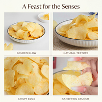 Patatas Fritas Saladas Crujientes de Fábrica China, Listas para Comer, Textura Dura, Snacks Saludables para el Tiempo Libre