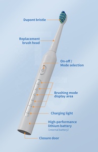 Irrigador Dental inalámbrico <span class=keywords><strong>Fairywill</strong></span> IPX7 cepillo de dientes eléctrico recargable por USB y hilo Dental de agua para viajes - Product Image 5