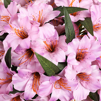 Fleurs artificielles 3D imprimées, simulation de fleurs de l'aube suspendues, pour décoration de mariage, de maison ou comme accessoires de décoration, style fée européenne