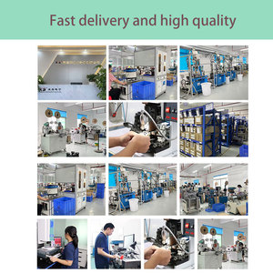 Cable de Conexión Personalizado 5016-2P SMP SMR2.5, Arnés de Cables con Terminales Macho y Hembra - Product Image 3