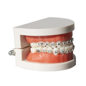 Giapi ortodontico ortodontico dentale staffa arco filo Multi-Purpose per l'igiene orale bretelle alla moda ortodontico dentiera decoro - Product Image 2