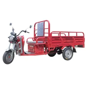 Manufacturers Custom New High-power Adult Heavy Duty Electric Freight Tricycle Transport Tricycle