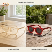 Lunettes de soleil photochromiques TWOOO 52614 avec monture en acétate à changement de couleur et verres en nylon photochromiques pour les distributeurs de lunettes