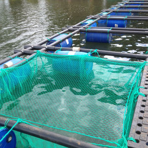 Cage pour ferme à poissons/truites, 1 enclos, pour ferme à carpe, dispositif flottant HDPE - Product Image 6